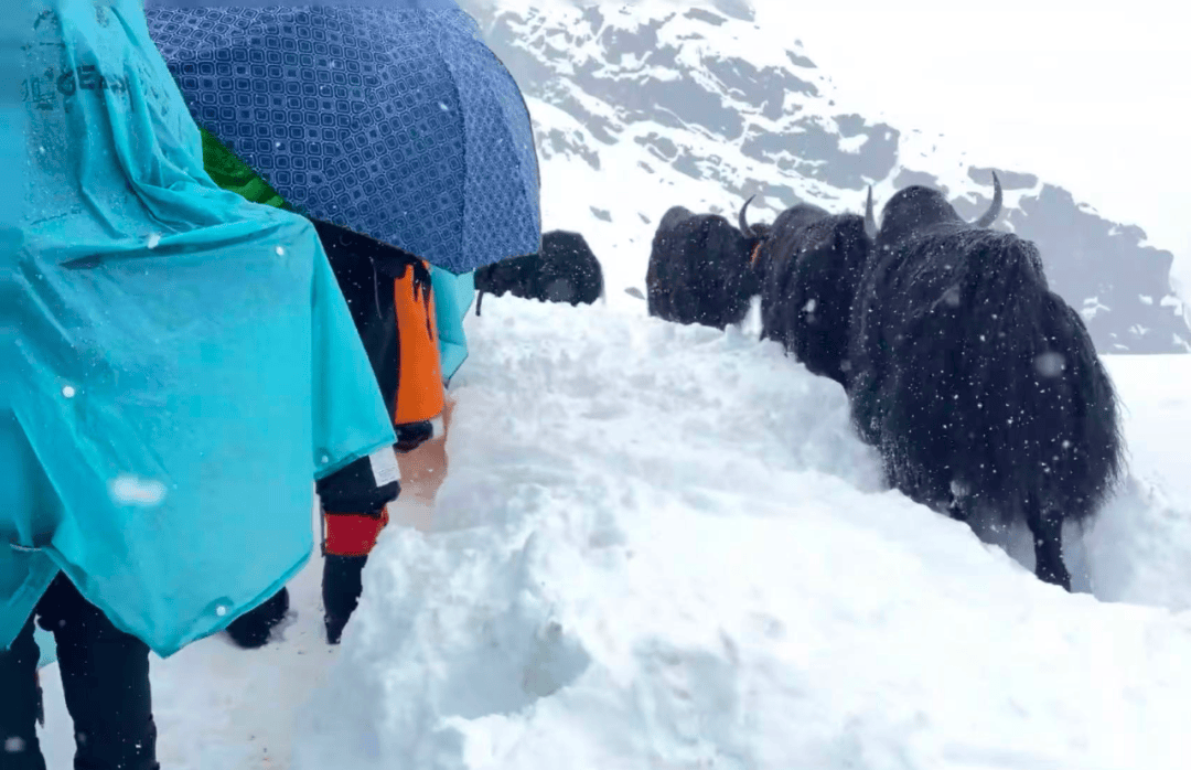 ”在暴雪和雷电中度过惊魂一夜新葡京“上千人来珠峰逛公园(图4)