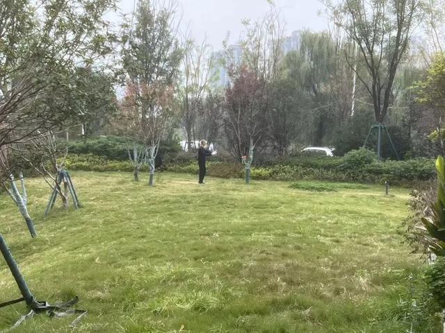 公园适老化方面这些做得还不错但还有改进空间澳门新葡京入口华商报记者走访了12座城