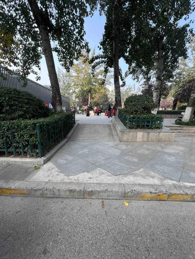 公园适老化方面这些做得还不错但还有改进空间澳门新葡京入口华商报记者走访了12座城市(图6)
