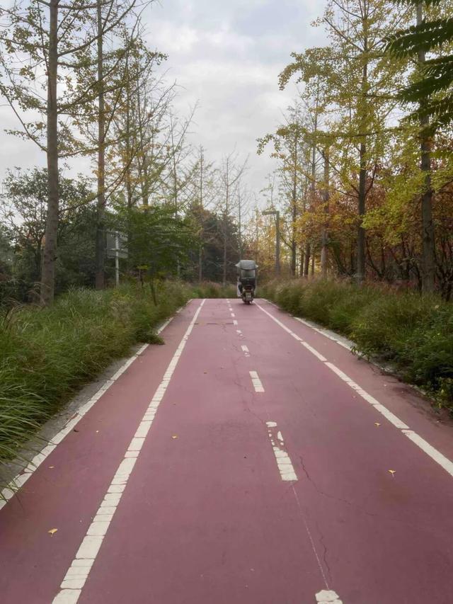 公园适老化方面这些做得还不错但还有改进空间澳门新葡京入口华商报记者走访了12座城市(图4)