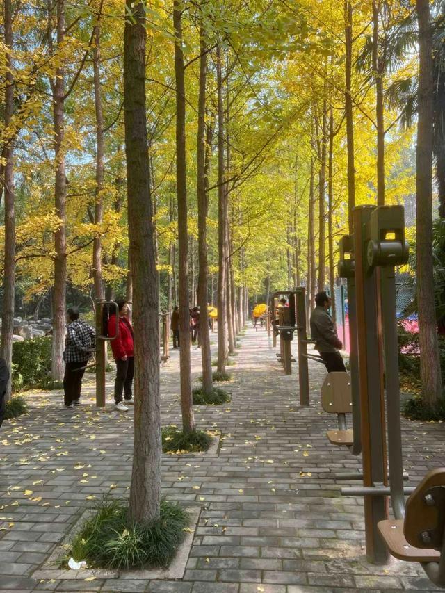 公园适老化方面这些做得还不错但还有改进空间澳门新葡京入口华商报记者走访了12座城市(图36)