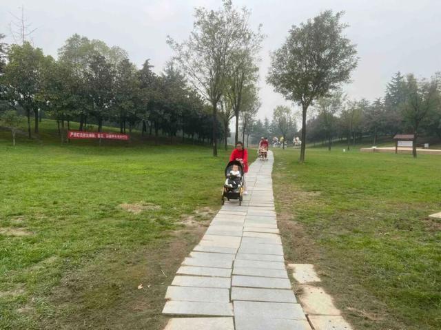 公园适老化方面这些做得还不错但还有改进空间澳门新葡京入口华商报记者走访了12座城市(图18)