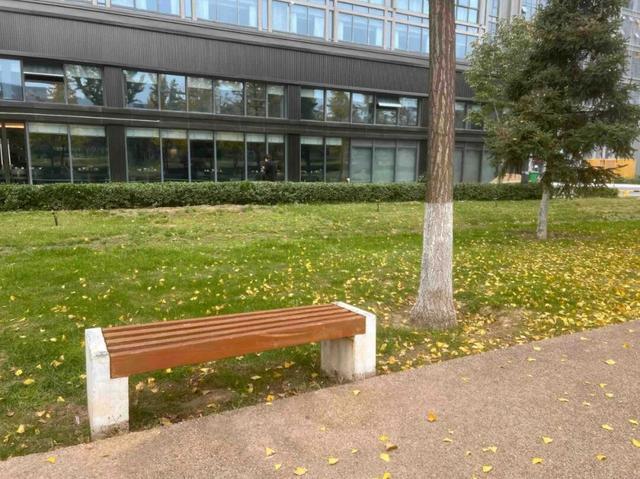 公园适老化方面这些做得还不错但还有改进空间澳门新葡京入口华商报记者走访了12座城市(图19)