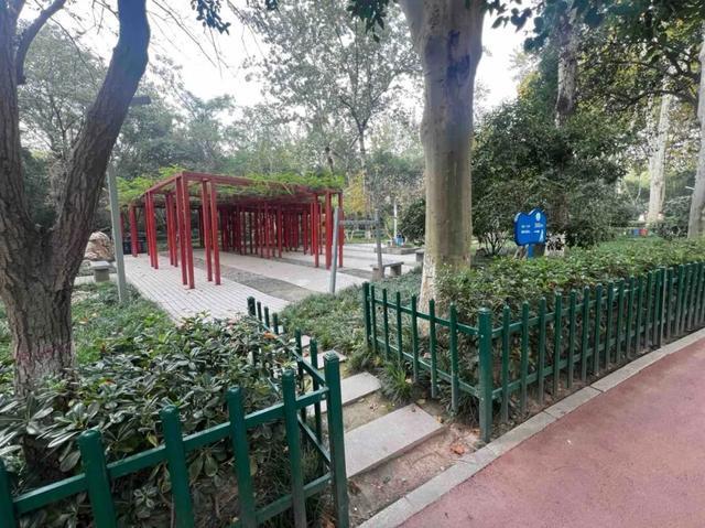 公园适老化方面这些做得还不错但还有改进空间澳门新葡京入口华商报记者走访了12座城市(图27)