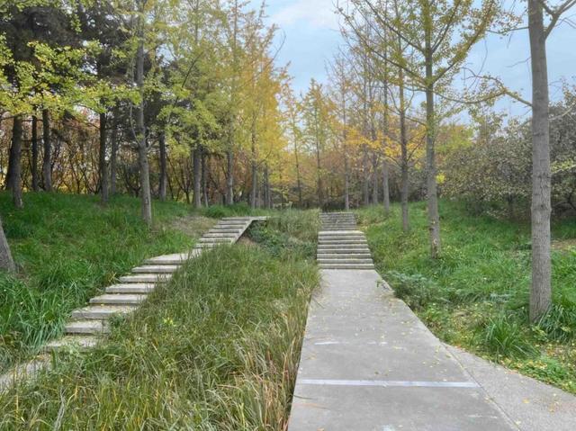 公园适老化方面这些做得还不错但还有改进空间澳门新葡京入口华商报记者走访了12座城市(图25)