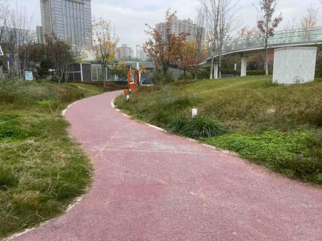 公园适老化方面这些做得还不错但还有改进空间澳门新葡京入口华商报记者走访了12座城市(图24)