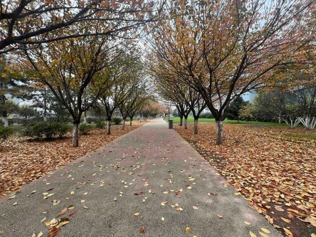 公园适老化方面这些做得还不错但还有改进空间澳门新葡京入口华商报记者走访了12座城市(图33)